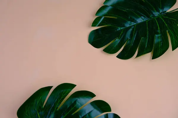 Üst görüntüde pembe gebera, huzurlu bir pastel arka planda mesaj, aşk ve romantik konsept için metin alanı var.