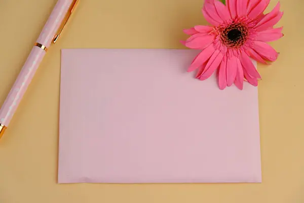 Üst görüntüde pembe gebera, huzurlu bir pastel arka planda mesaj, aşk ve romantik konsept için metin alanı var.