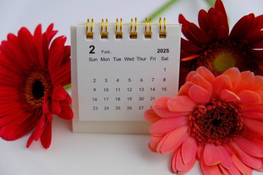 Şubat 2025 tarihli ofis geçmişi için aylık masa takvimi. 