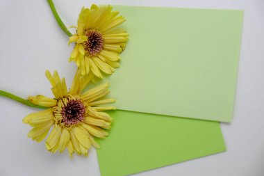 Sade bir arkaplana yerleştirilmiş şablon çiçekleri. Mesaj alanı ve sevgililer günü için bir model. Beyaz kağıt davetiye kartı. Zarf ve çiçeklerle maket. Kopya alanı ile maket.