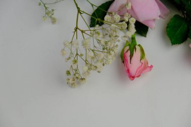 Sade bir arkaplana yerleştirilmiş şablon çiçekleri. Mesaj alanı ve sevgililer günü için bir model. Beyaz kağıt davetiye kartı. Zarf ve çiçeklerle maket. Kopya alanı ile maket.