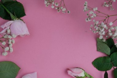 Sade bir arkaplana yerleştirilmiş şablon çiçekleri. Mesaj alanı ve sevgililer günü için bir model. Beyaz kağıt davetiye kartı. Zarf ve çiçeklerle maket. Kopya alanı ile maket.