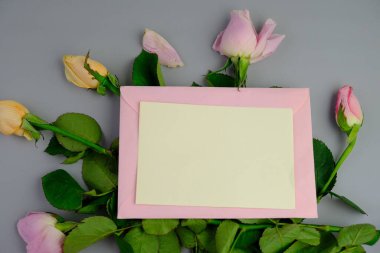 Sade bir arkaplana yerleştirilmiş şablon çiçekleri. Mesaj alanı ve sevgililer günü için bir model. Beyaz kağıt davetiye kartı. Zarf ve çiçeklerle maket. Kopya alanı ile maket.