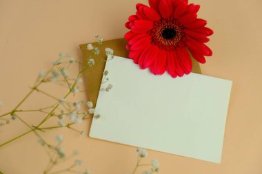 Sade bir arkaplana yerleştirilmiş şablon çiçekleri. Mesaj alanı ve sevgililer günü için bir model. Beyaz kağıt davetiye kartı. Zarf ve çiçeklerle maket. Kopya alanı ile maket.