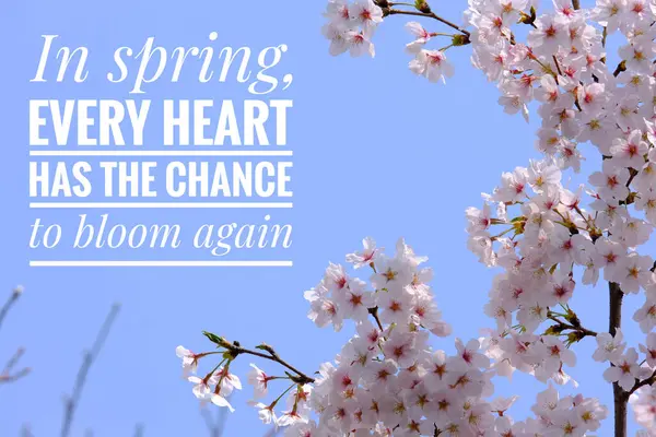 Kiraz çiçeklerinin çiçek geçmişi hakkında ilham verici bir alıntı. Bahar ve mutluluk kavramı Hatırlatma