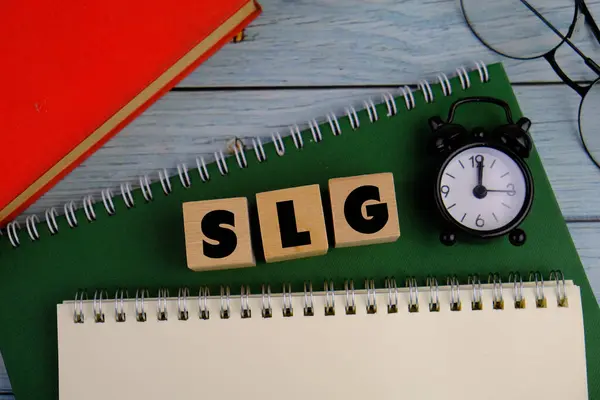 Renkli ahşap blokta Kelime Hizmeti Garantisi veya SLG. iş kavramı. 