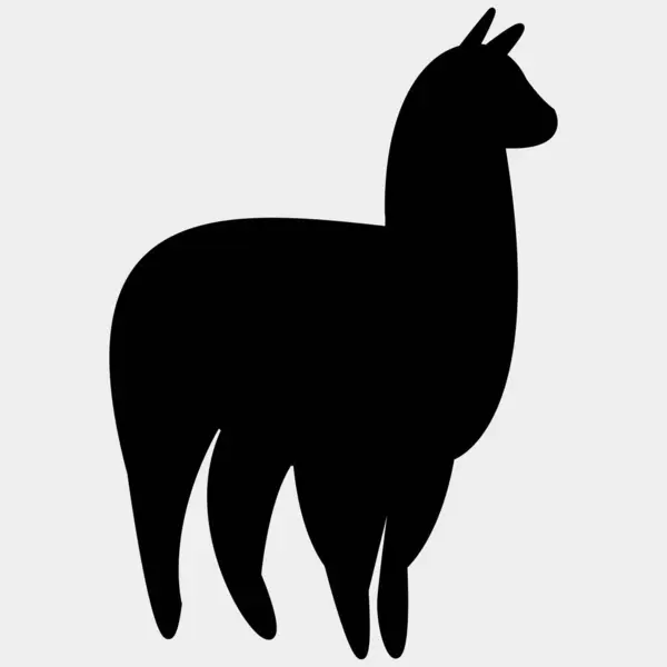 Lama simgesi vektör illüstrasyonu