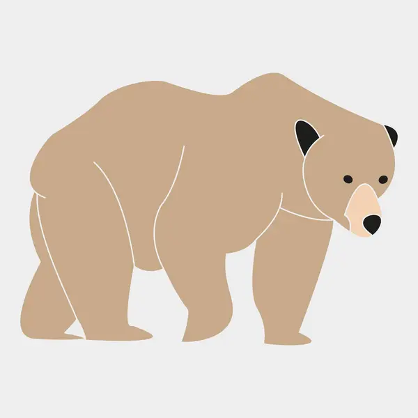 Ayı hayvan tasarımı, vektör illüstrasyonu 10 grafik