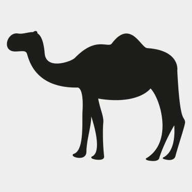 Deve simgesi. Vektör çizim