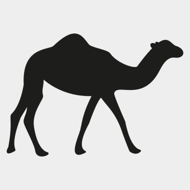 Deve silueti, deve vektör çizimi