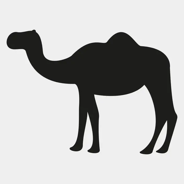 Deve simgesi. Vektör çizim