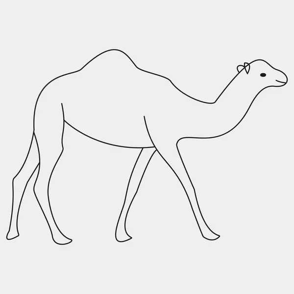 Deve ikonu vektör çizimi