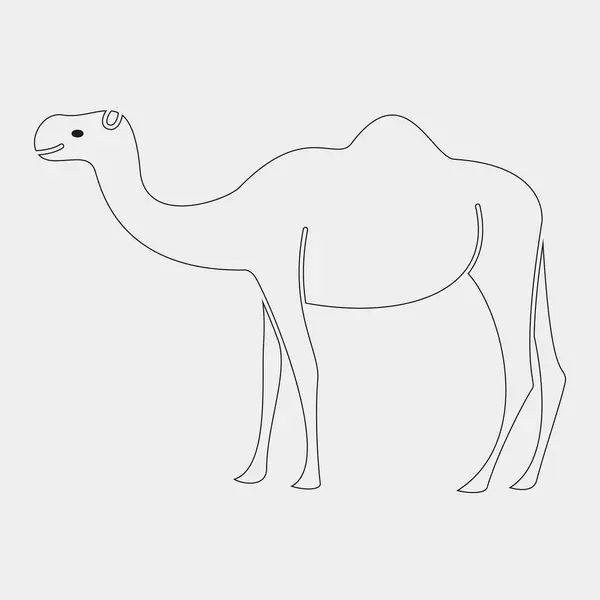 Deve hayvan karikatür simge vektör çizim grafik tasarım