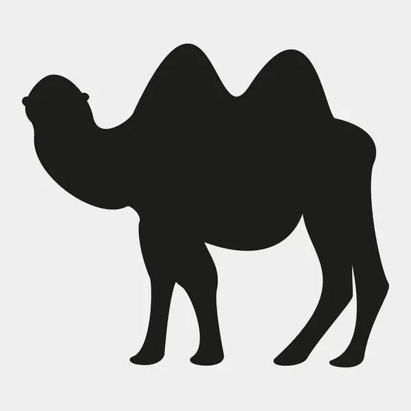 Deve ikonu vektör çizimi