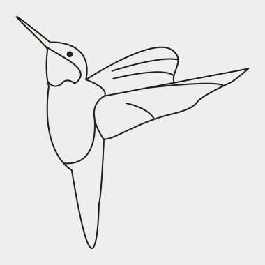 Kuşun vektör çizimi. Sinekkuşu