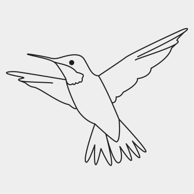 Kuş ikonu, taslak tarzı. Sinekkuşu