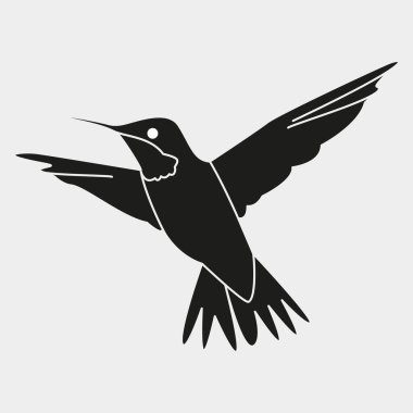 Kuş silueti vektör çizimi. Sinekkuşu