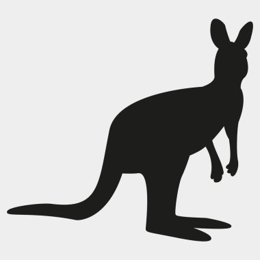 kanguru vektör simgesi. biçim illüstrasyon sembolü.
