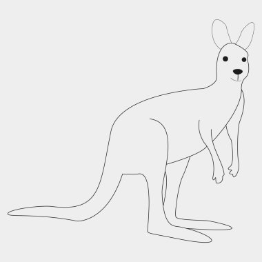kanguru vektör resimleme tasarımı