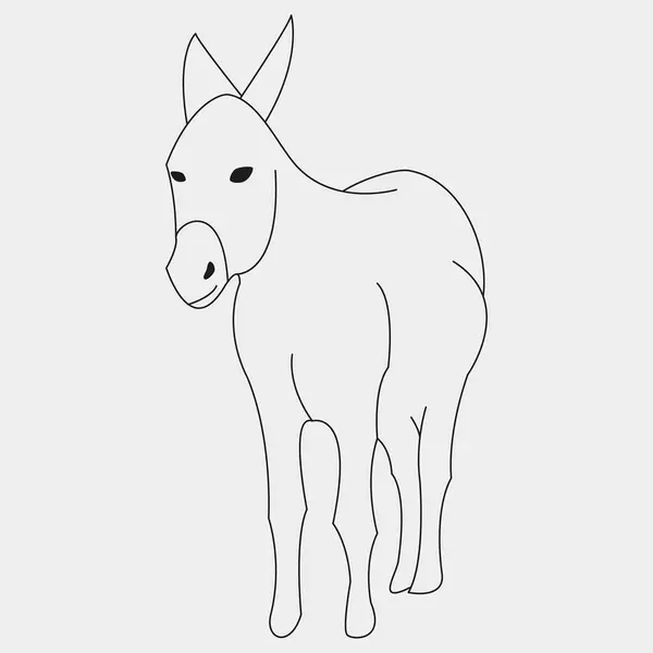 Eşeğin vektör çizimi