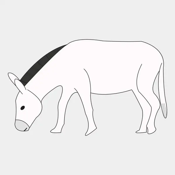 Beyaz eşek, eşek vektör illüstrasyonu 