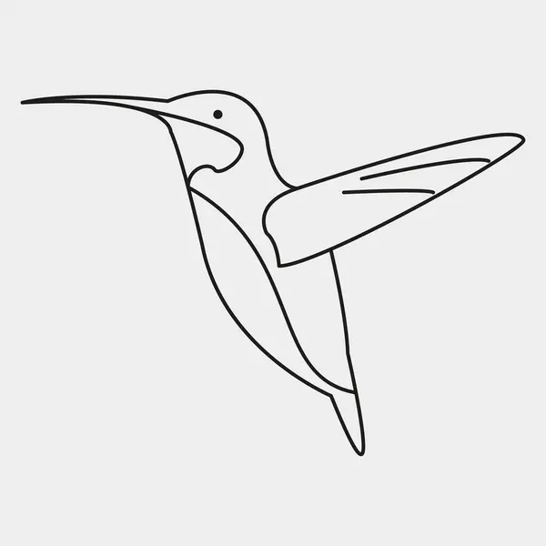 Kuş ikonu, vektör illüstrasyonu. Sinekkuşu