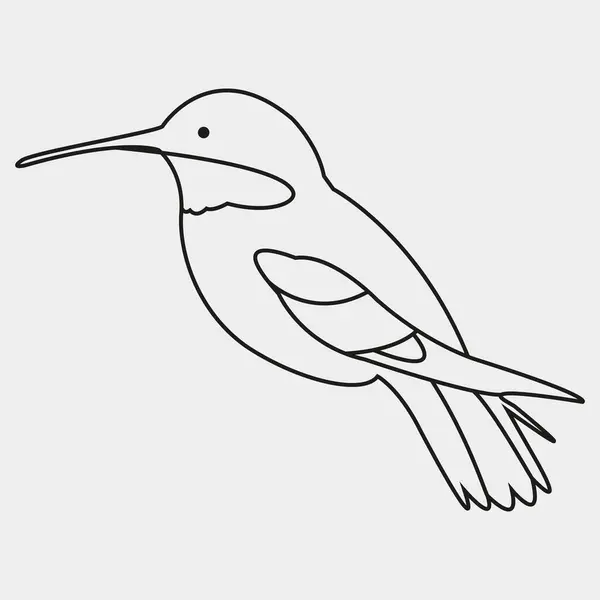 Kuş simgesi. Ağ için kuş vektör simgesinin taslağı. Sinekkuşu