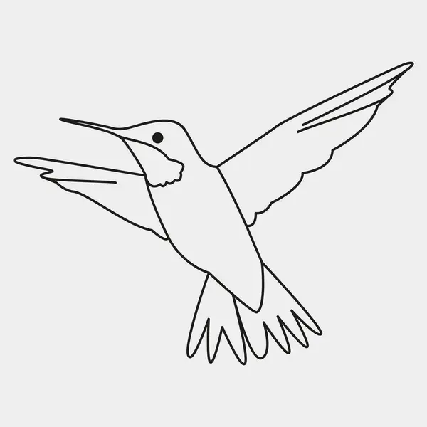Kuş ikonu, taslak tarzı. Sinekkuşu