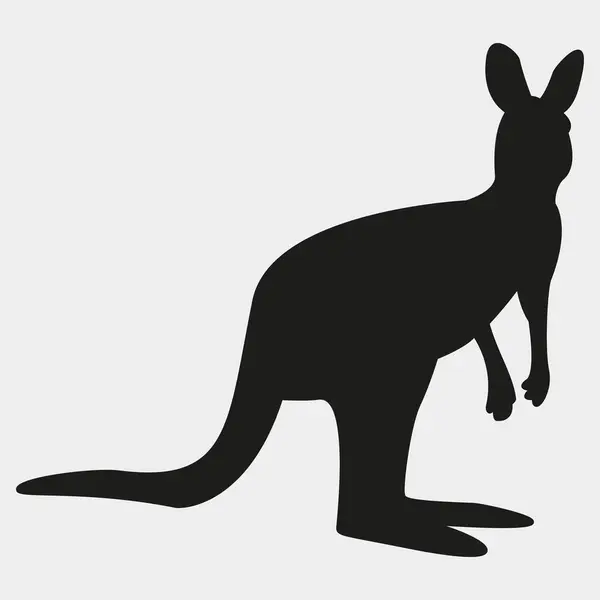 kanguru vektör simgesi. biçim illüstrasyon sembolü.