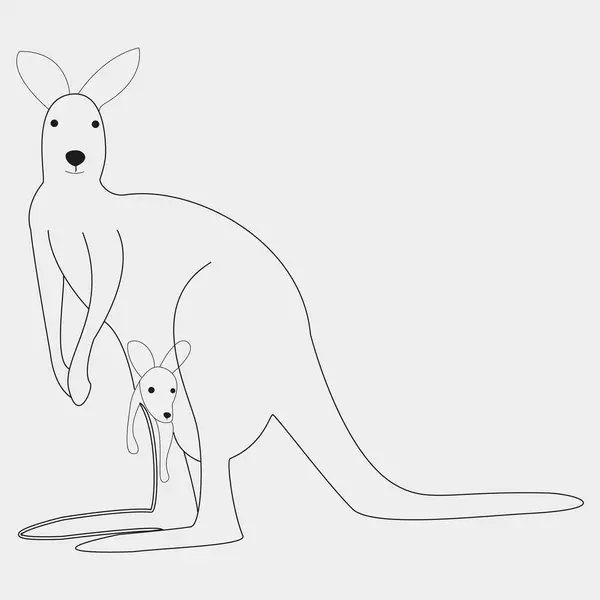 Şirin bir kangurunun vektör çizimi. kanguru ve kanguru.