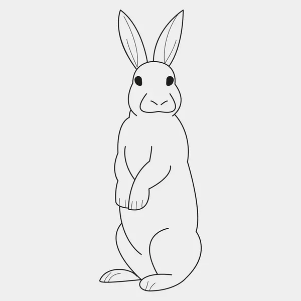 Sevimli tavşan hayvan karakteri