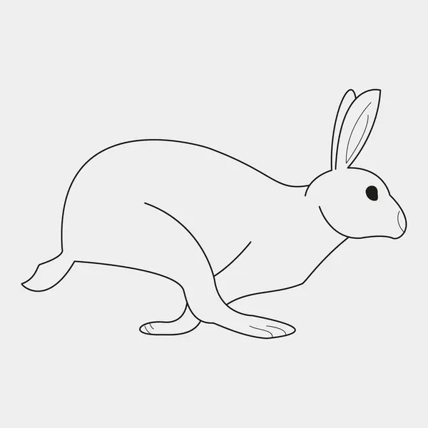 rabbit icon, vector, illustration