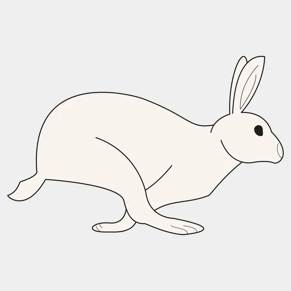 Web ve mobil uygulaması tasarımı, tavşan logosu kavramı için beyaz arka plan üzerinde izole tavşan simge vektör