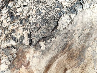 Ahşap döşeme arka planı