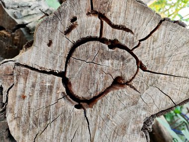 Tahta bir haçın yakınında.