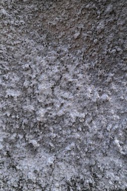 Kaba gri çimento dokusu