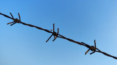 Mavi arkaplanda dikenli tel