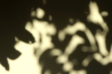 soyut siyah beyaz arkaplan