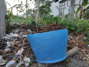 Mavi sepetteki at dışkısı