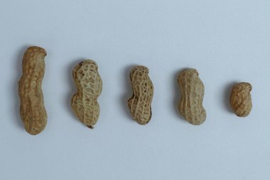 Çeşit çeşit ceviz.