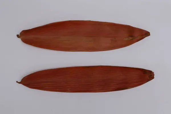 Beyaz arka planda iki kahverengi kuru yaprak