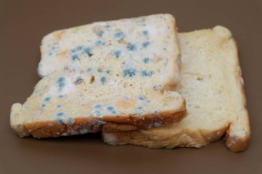 Ekmek son kullanma tarihi nedeniyle küflüdür                            