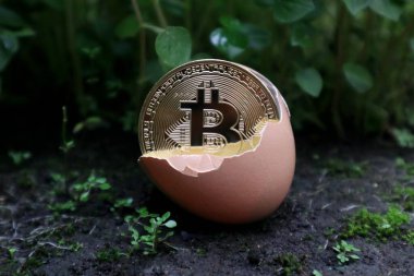 Yerdeki bir yumurtanın içindeki Bitcoin                   