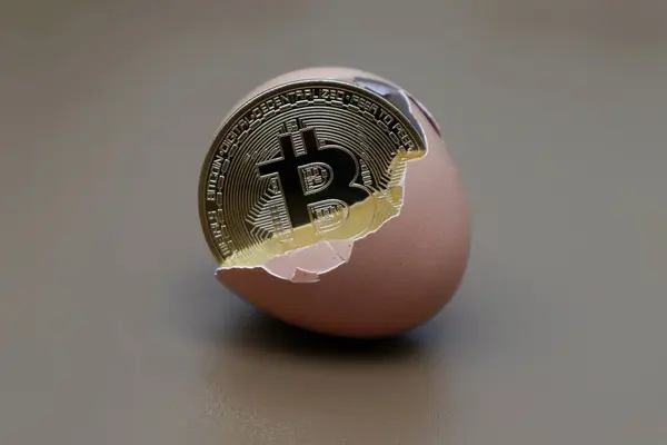 Kahverengi arkaplanlı yumurta içinde Bitcoin
