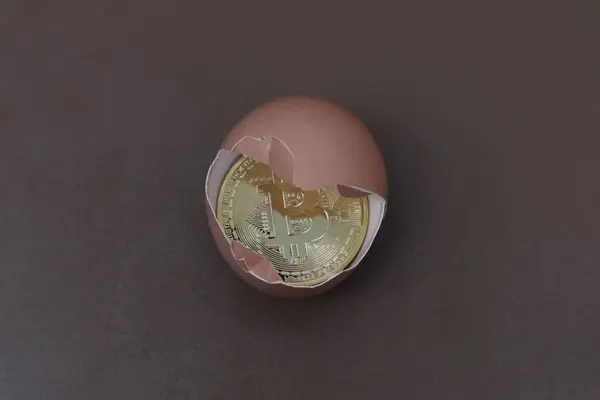 Kahverengi arkaplanlı yumurta içinde Bitcoin