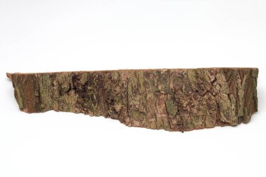 Beyaz arkaplanda eski ağaç kabuğu dokusu