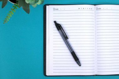 Masanın üzerine bir tükenmez kalem konur..