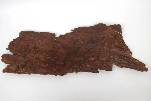 Beyaz arkaplanda eski ağaç kabuğu