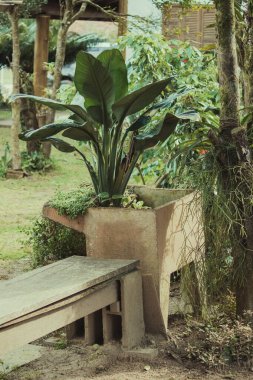 Beton tank ekici olarak yeniden tasarlandı, canlı yeşil yapraklar sergileniyor. Sürdürülebilir bahçıvanlık ve çevre dostu uygulamalar için geri dönüştürülmüş materyallerin önemini vurguluyor