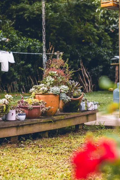 Kırsal bir bahçedeki eski bir güvertedeki sulu saksılar, dış uzaya biraz yeşillik ve cazibe katıyor..